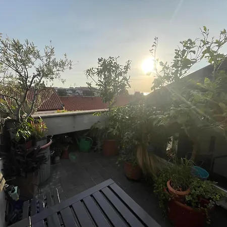 Con Terrazza Vista Mare Apartment *